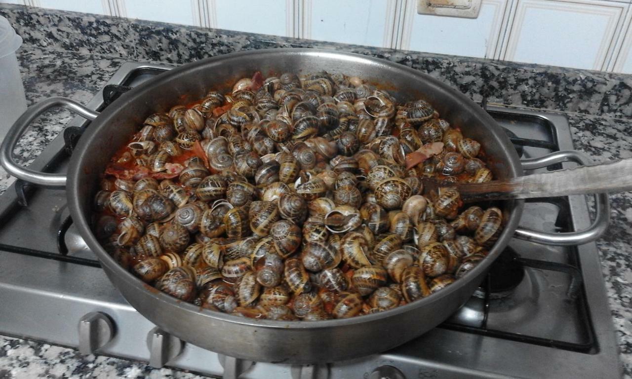 Casa Lucia ξενώνας Abaigar Εξωτερικό φωτογραφία